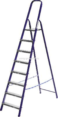 322894